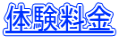 体験料金