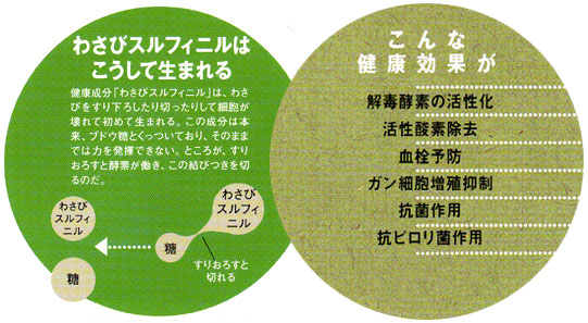 ワールドヴィジョン株式会社 わさびの知識 日経ヘルス3